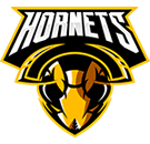 https://fistball.nz/wp-content/uploads/2022/09/team_logo_06.png