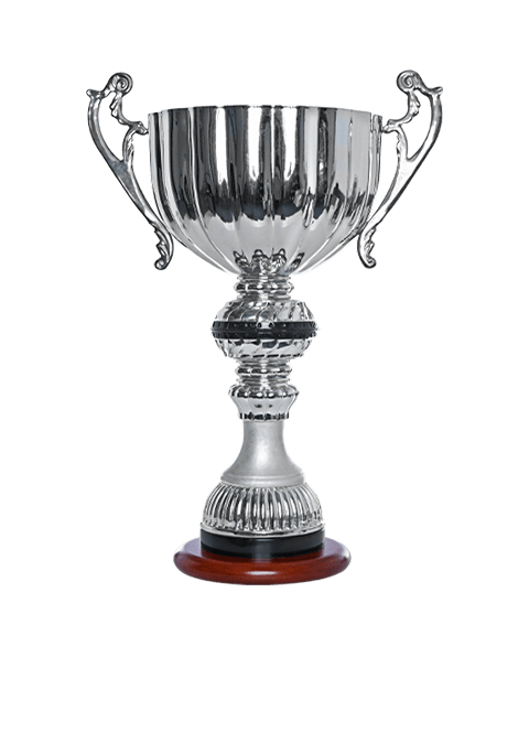 https://fistball.nz/wp-content/uploads/2022/11/trophy_01.png