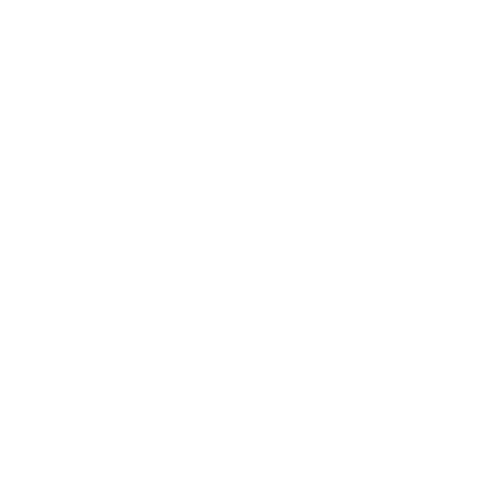 NZ Fistball Association Logo White